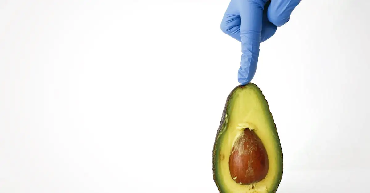 Avocado snijden en pit verwijderen