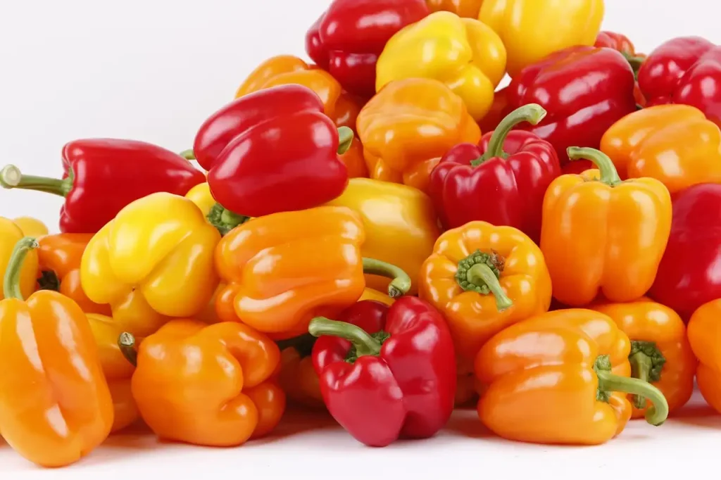 Hoe smaken paprika’s