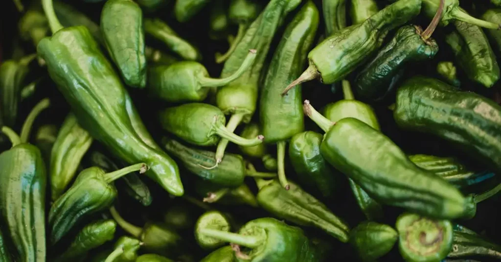 Paprika bewaren