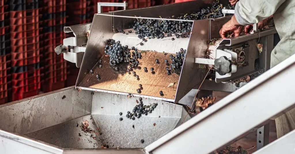 Restjes fruit verwerken