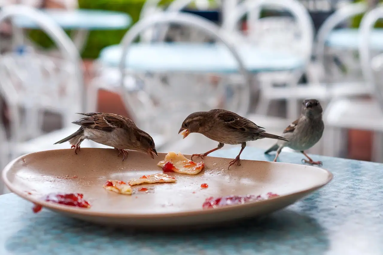 Restjes fruit verwerken