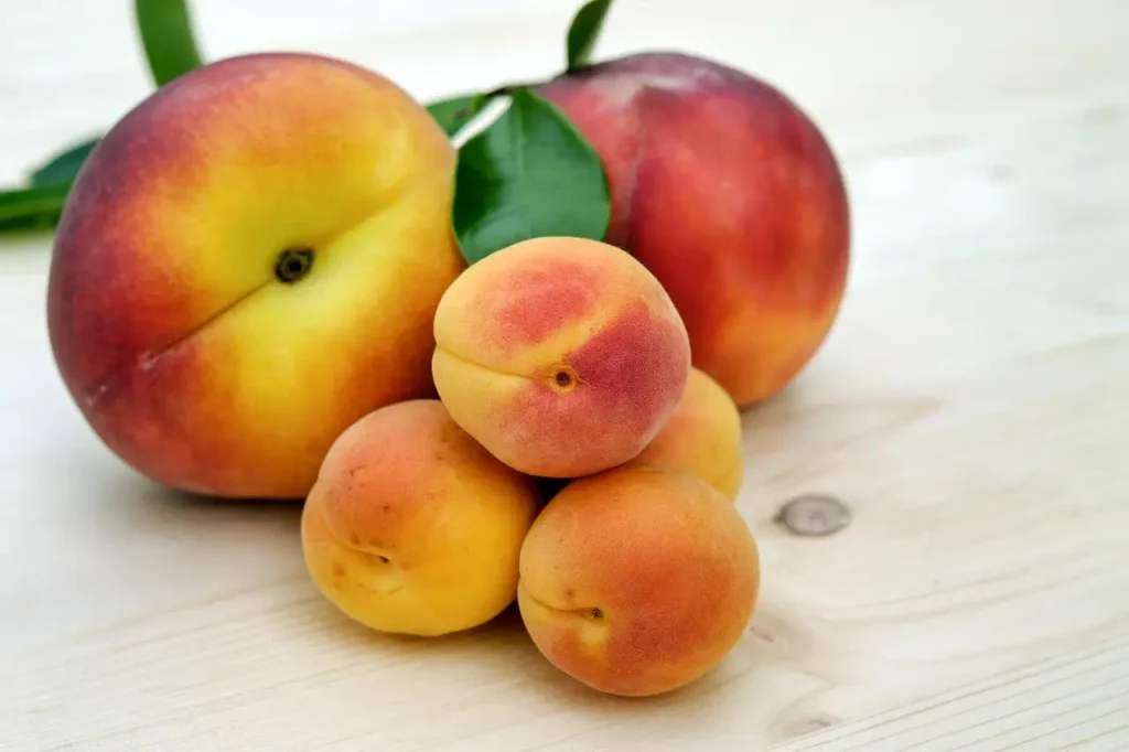 Spruitjes koken