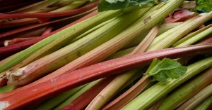 Rabarber