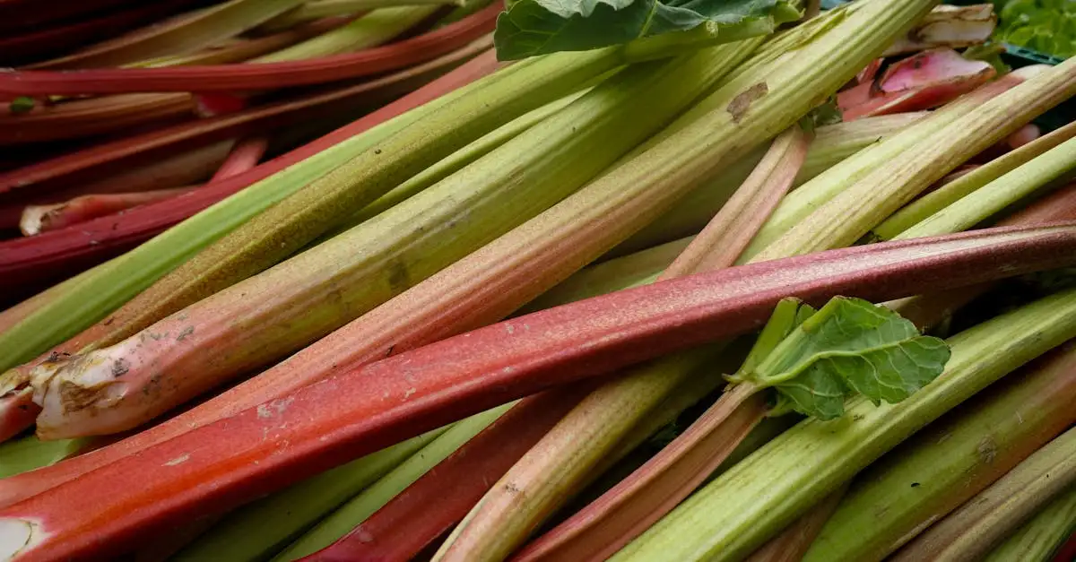 Rabarber